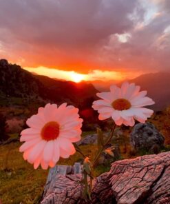 Teste produto laravel